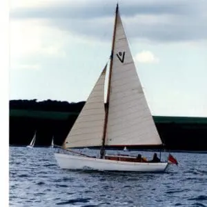 Francolin racing in Falmouth