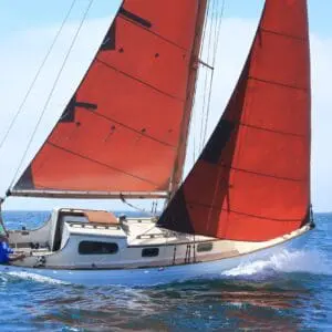 V 20 SALMO