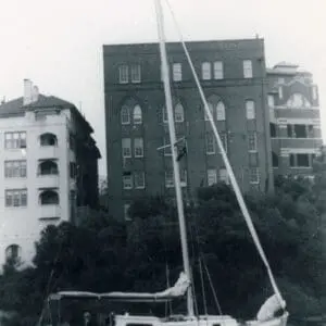 V 50 Kittiwake