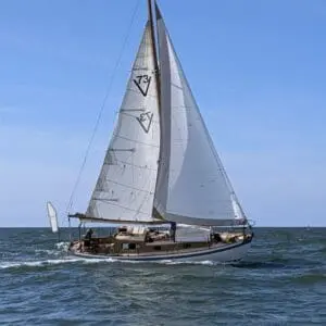 V 73 Gannet