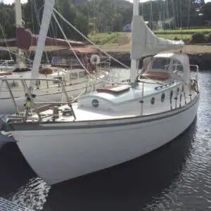 V 153 Patience of the Huon