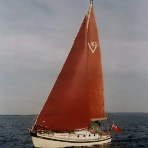 V 167 Tui of Opua