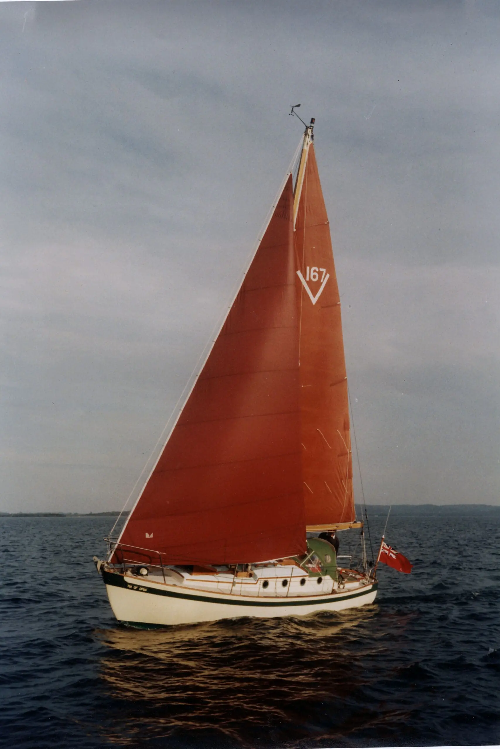 V 167 Tui of Opua
