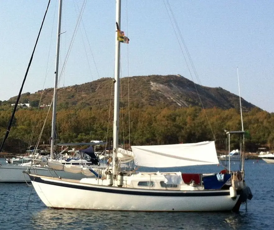 V II grp 38 Soft Vertue