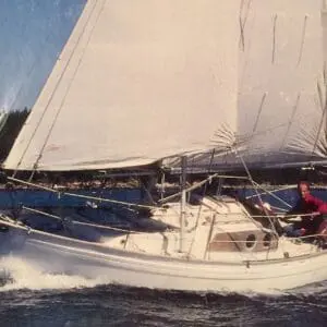 V II 5 grp Sparrow