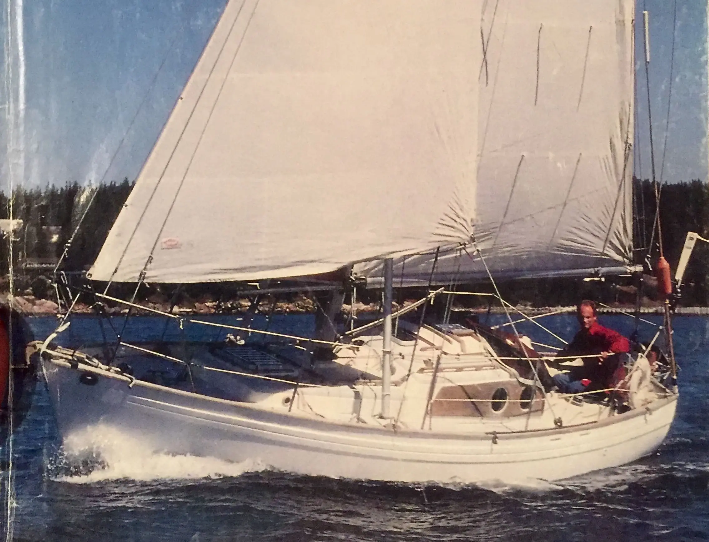 V II 5 grp Sparrow