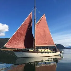 V 193 Canvasback (ex Patience)