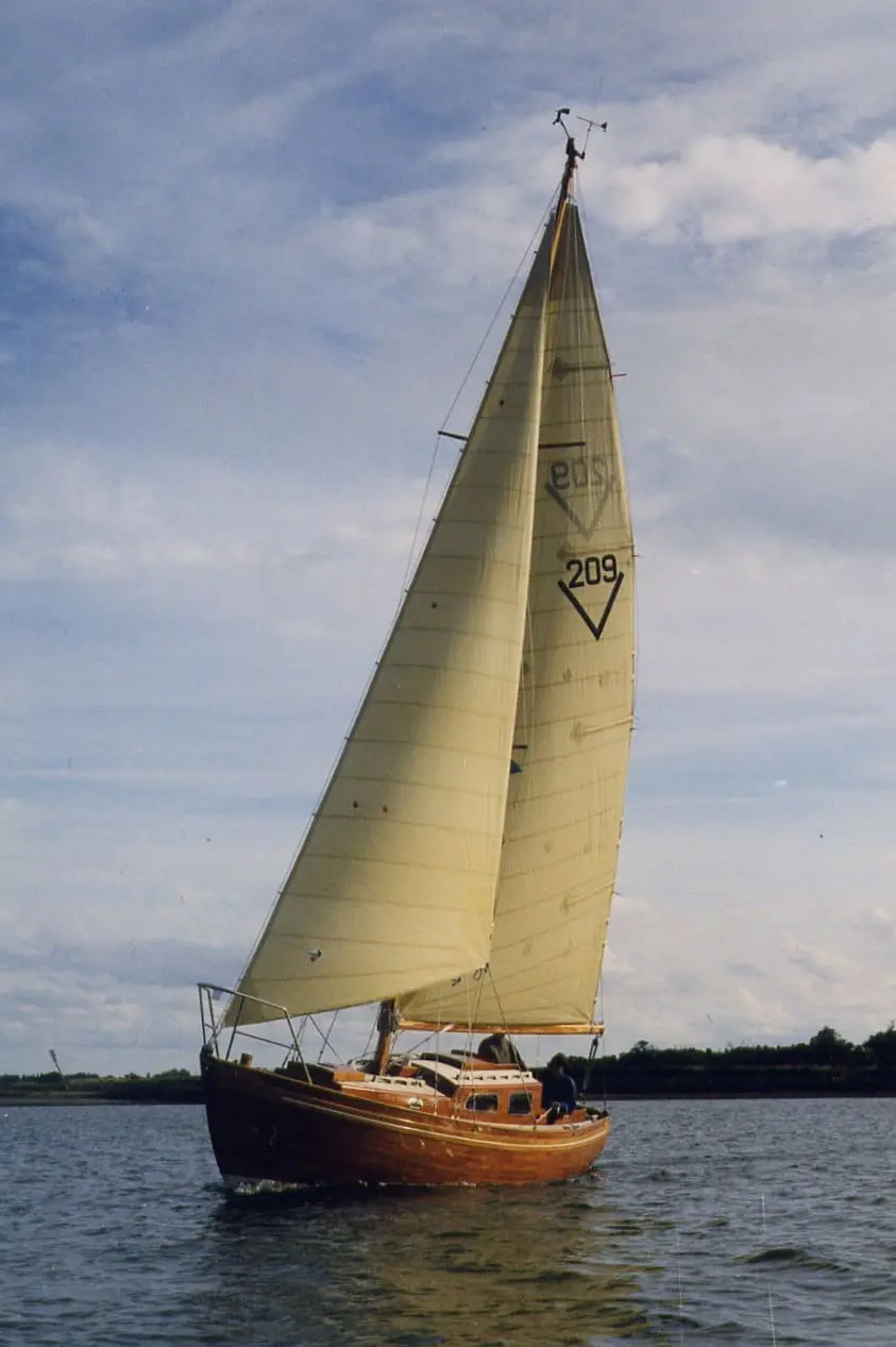 V 209 ROSETTE