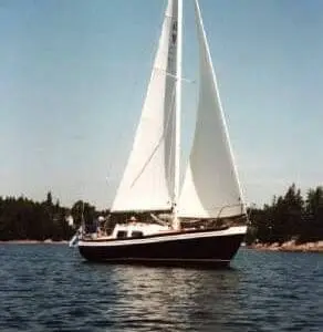 VII 10 grp TERN