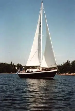 VII 10 grp TERN