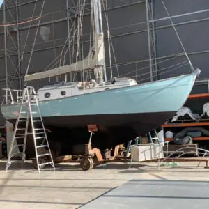 PATIENCE  V 169